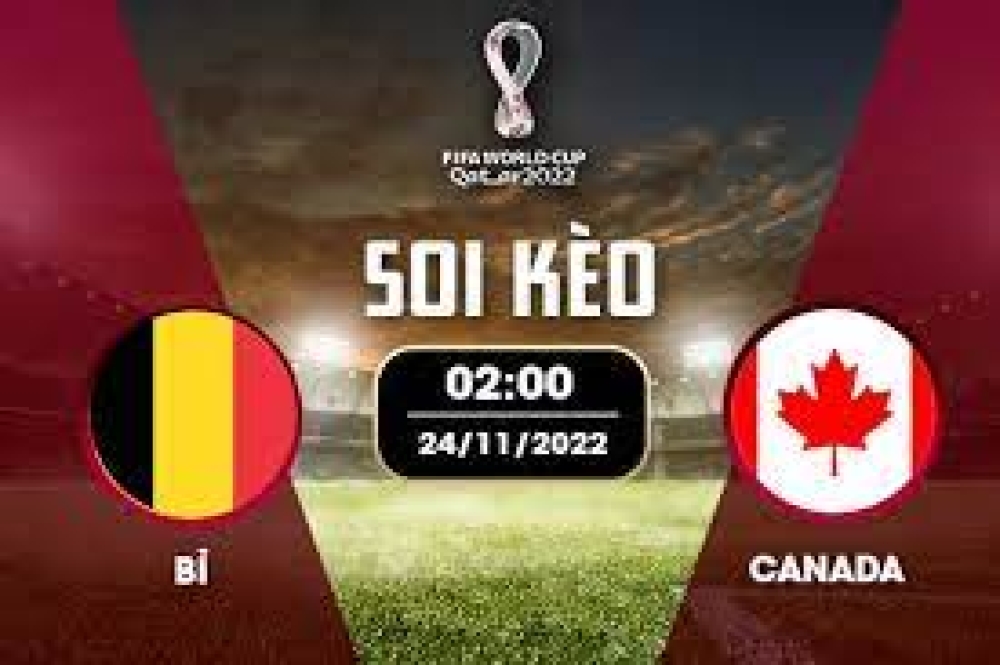 Nhận định soi kèo chẵn lẻ Bỉ vs Canada, 02h00 ngày 24/11/2022- Bảng F World Cup 2022