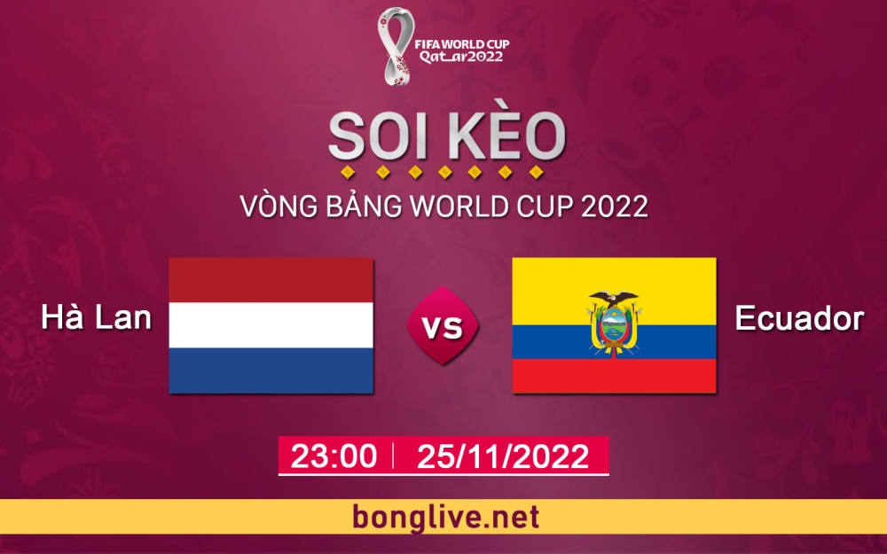 Phân tích, soi kèo thẻ vàng Hà Lan vs Ecuador, 23h00 ngày 25/11/2022 - Bảng A World Cup 2022.