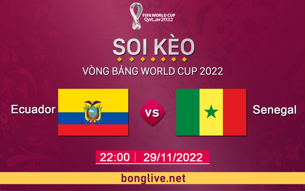 Phân tích, soi kèo thẻ vàng Ecuador vs Senegal, 22h00 ngày 29/11/2022 - Bảng A World Cup 2022