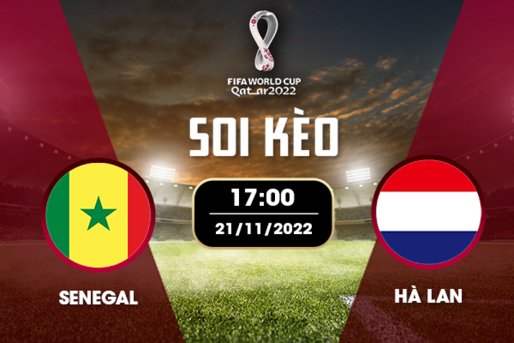 Nhận định soi kèo chẵn lẻ Senegal vs Hà Lan, 17h00 ngày 21/11 – Bảng A World Cup 2022