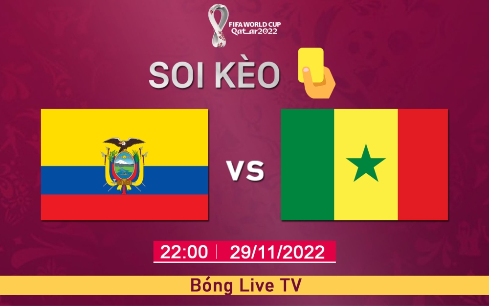 Nhận định, soi kèo thẻ vàng Ecuador vs Senegal, 22h00 ngày 29/11/2022- Bảng A WC 2022