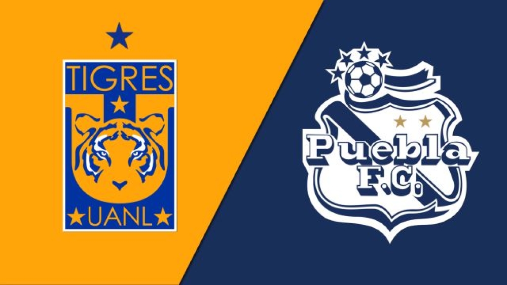 Trực tiếp, cá cược bóng cỏ, soi kèo Puebla vs Tigres UANL, 7h ngày 17/9 - Giải VĐQG Mexico
