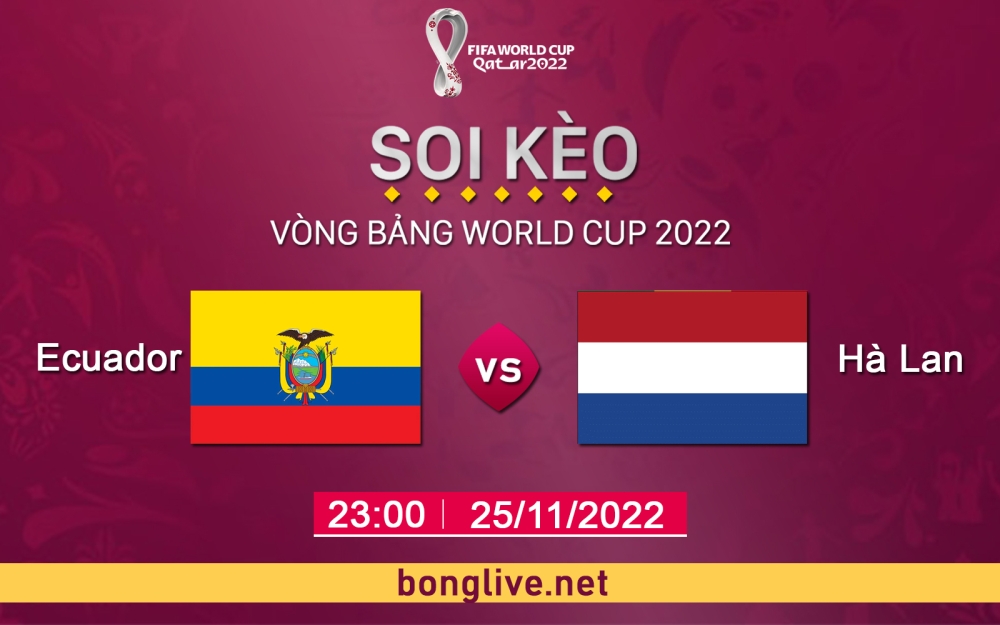 Nhận định, soi kèo Ecuador vs Hà Lan, 23h00 ngày 25/11 - bảng A World Cup Qatar 2022