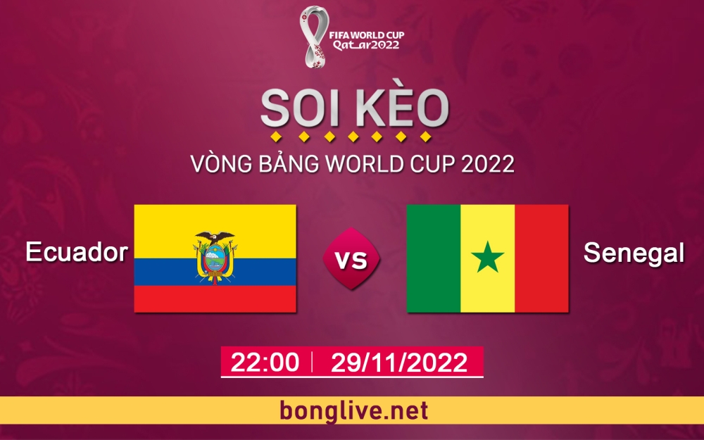 Nhận định, soi kèo Ecuador vs Senegal, 22h00 ngày 29/11 - bảng A world cup Qatar 2022