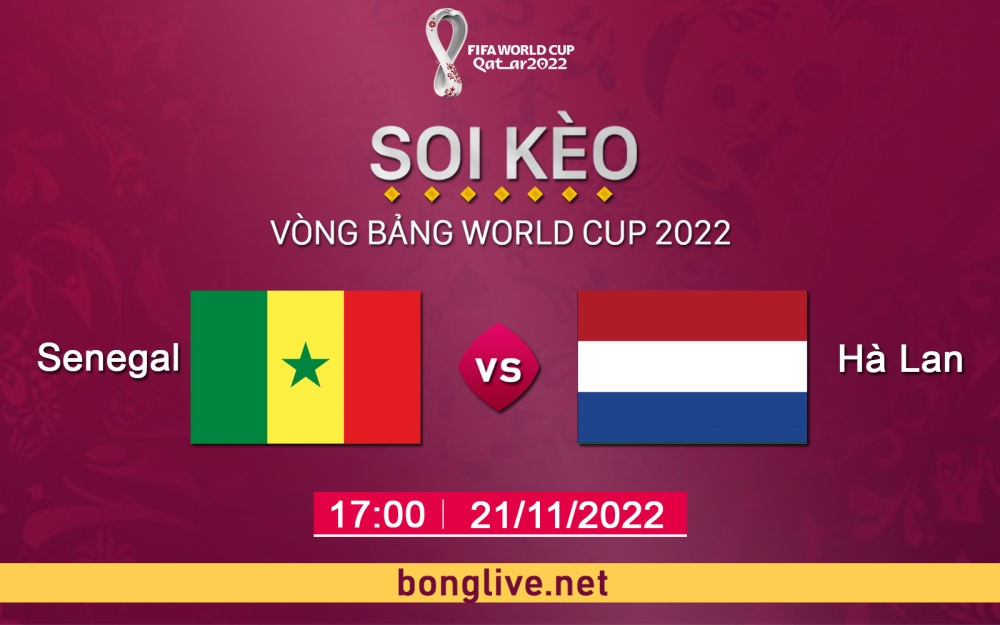 Nhận định, soi kèo Senegal vs Hà Lan, 17h00 ngày 21/11 - bảng A world cup Qatar 2022